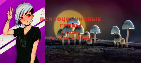 винт Надым