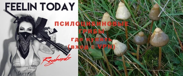 винт Надым