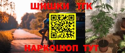 крисы Гусев