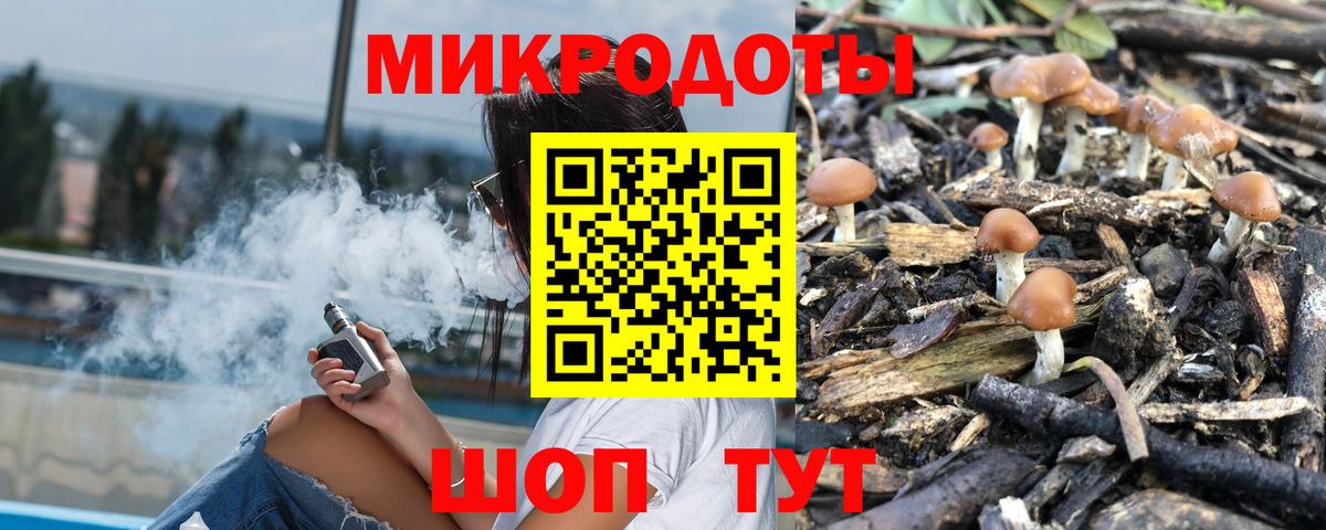 Галлюциногенные грибы Cubensis Копейск
